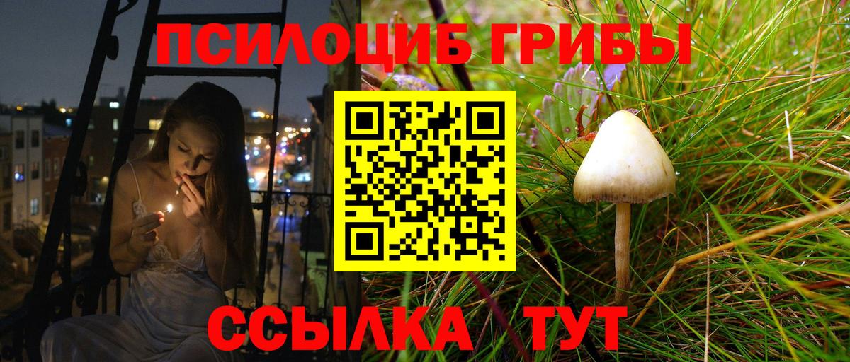 Галлюциногенные грибы Cubensis Алексин