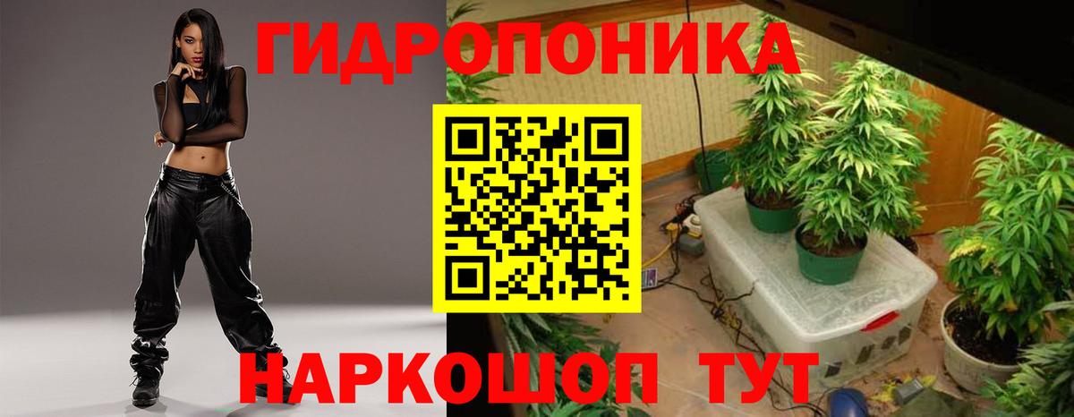 Канабис White Widow  Бошки марихуана семена  Шишки марихуана индика  Алексин 